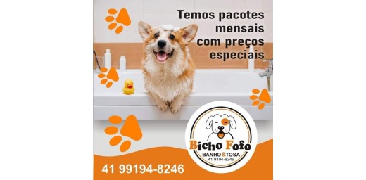 Bicho Fofo Banho e Tosa