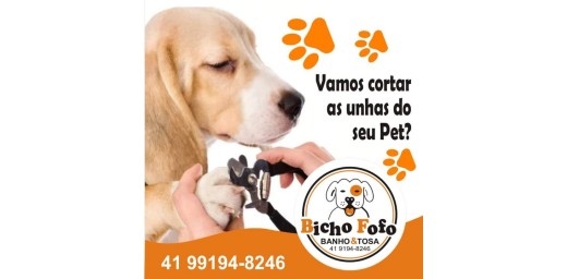 Bicho Fofo Banho e Tosa