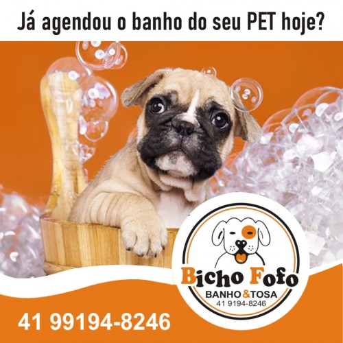 Bicho Fofo Banho e Tosa